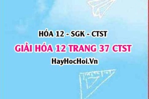 Giải Hóa 12 trang 37 Chân trời sáng tạo SGK